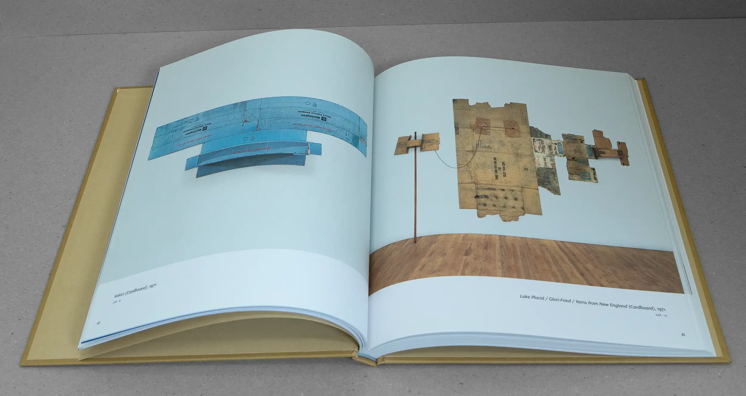 Robert Rauschenberg – Cardboards and Related Pieces - Image 3