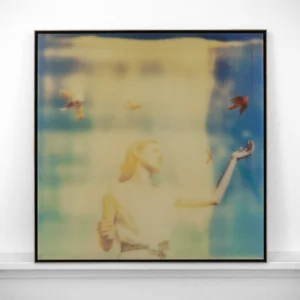 Stefanie Schneider – "Enchanted" from "Haley and the Birds"