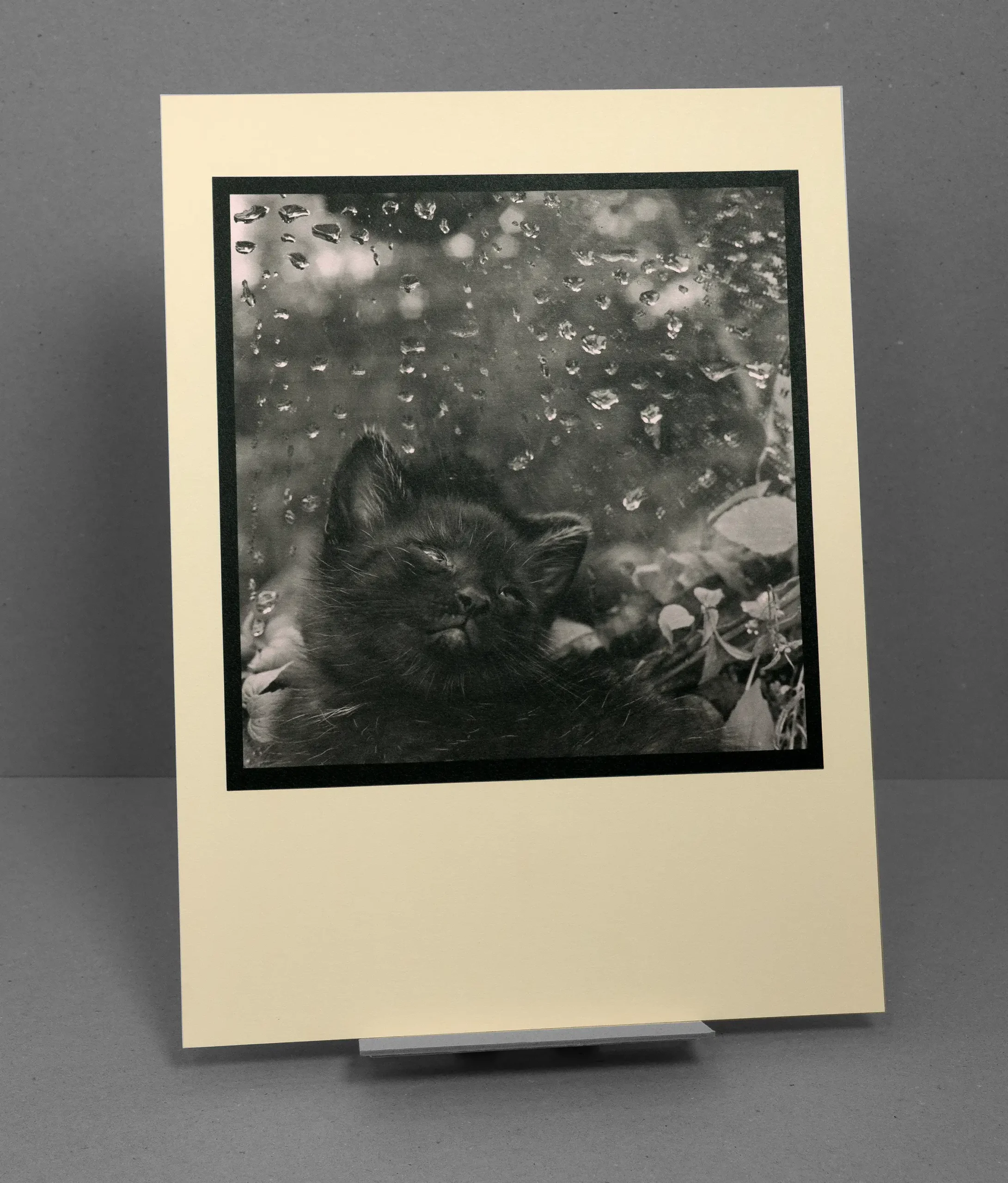 Vojtech V. Slama – Bubla (Jevisovice, Czech Republic 2002)