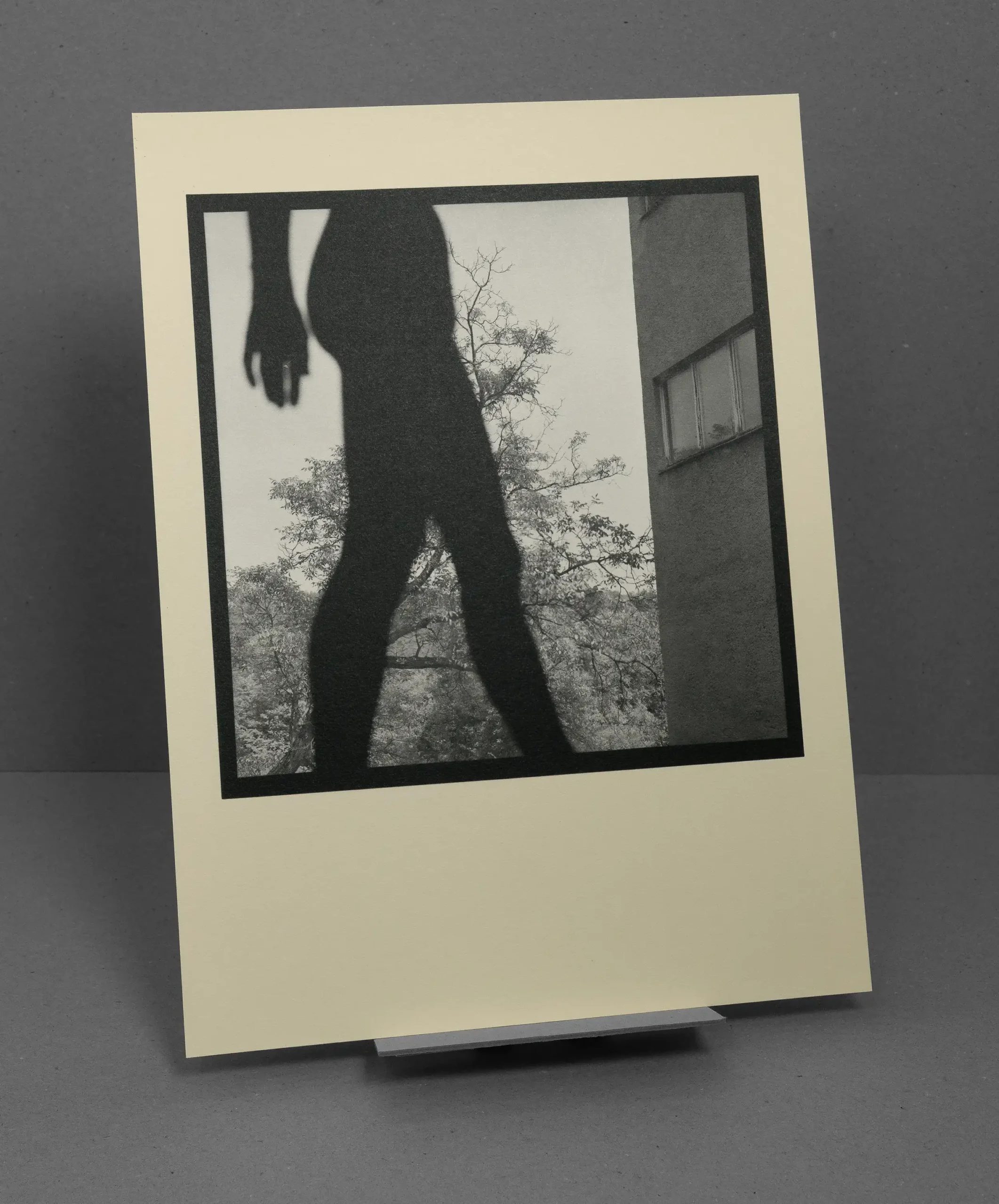 Vojtech V. Slama – Villa Gruenfeld (Teplice nad Bevou, 2005)